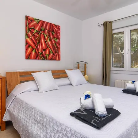 El Elefante By Aguilarent Willa *